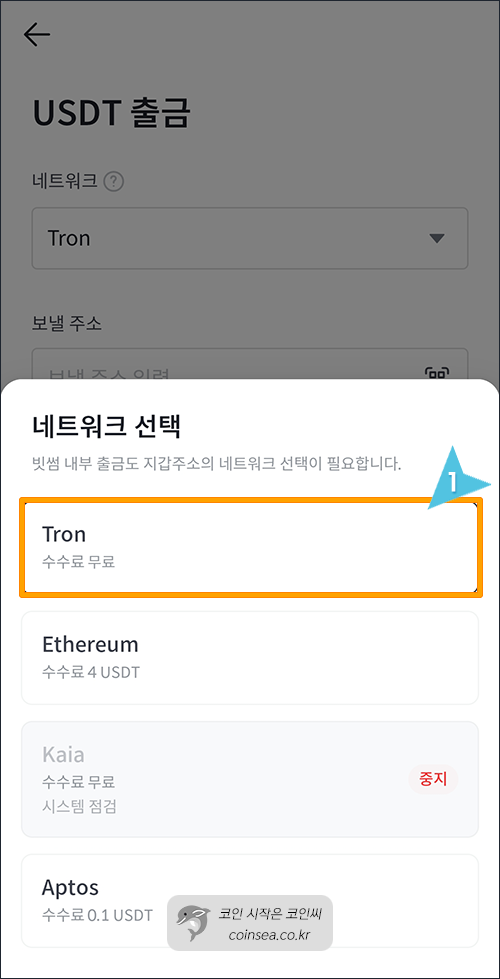 Tron 네트워크 선택