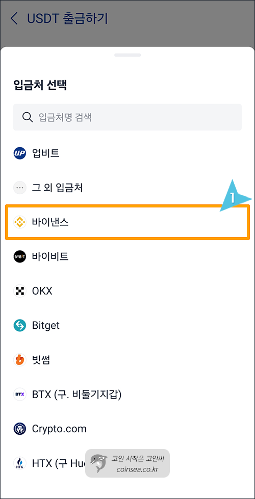바이낸스 선택 또는 그 외 입금처